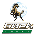 Транспортная компания «Биек cargo»